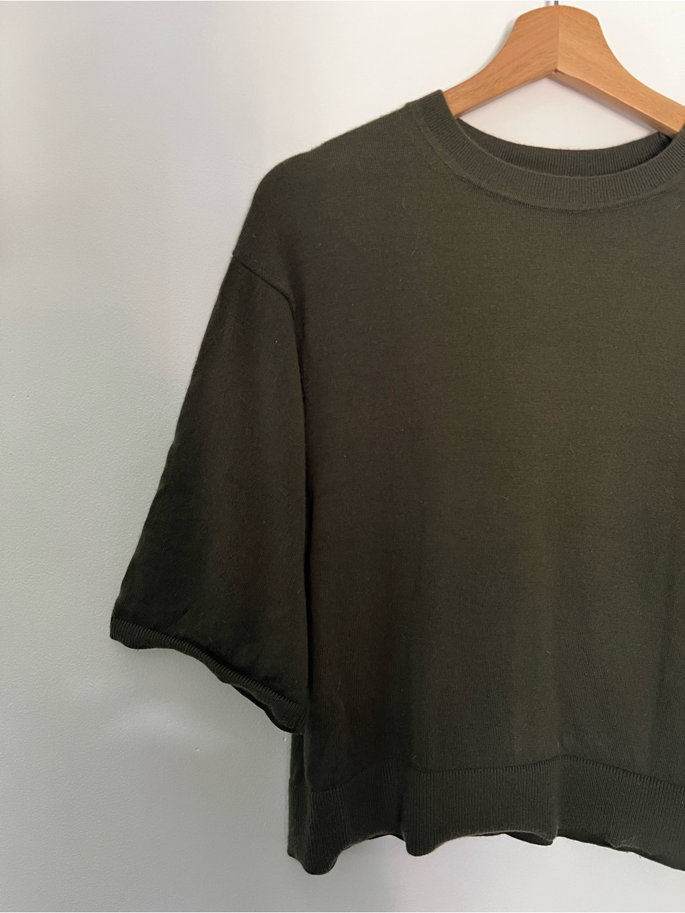Banana Republic Merino Wool Short Sleeve Sweater